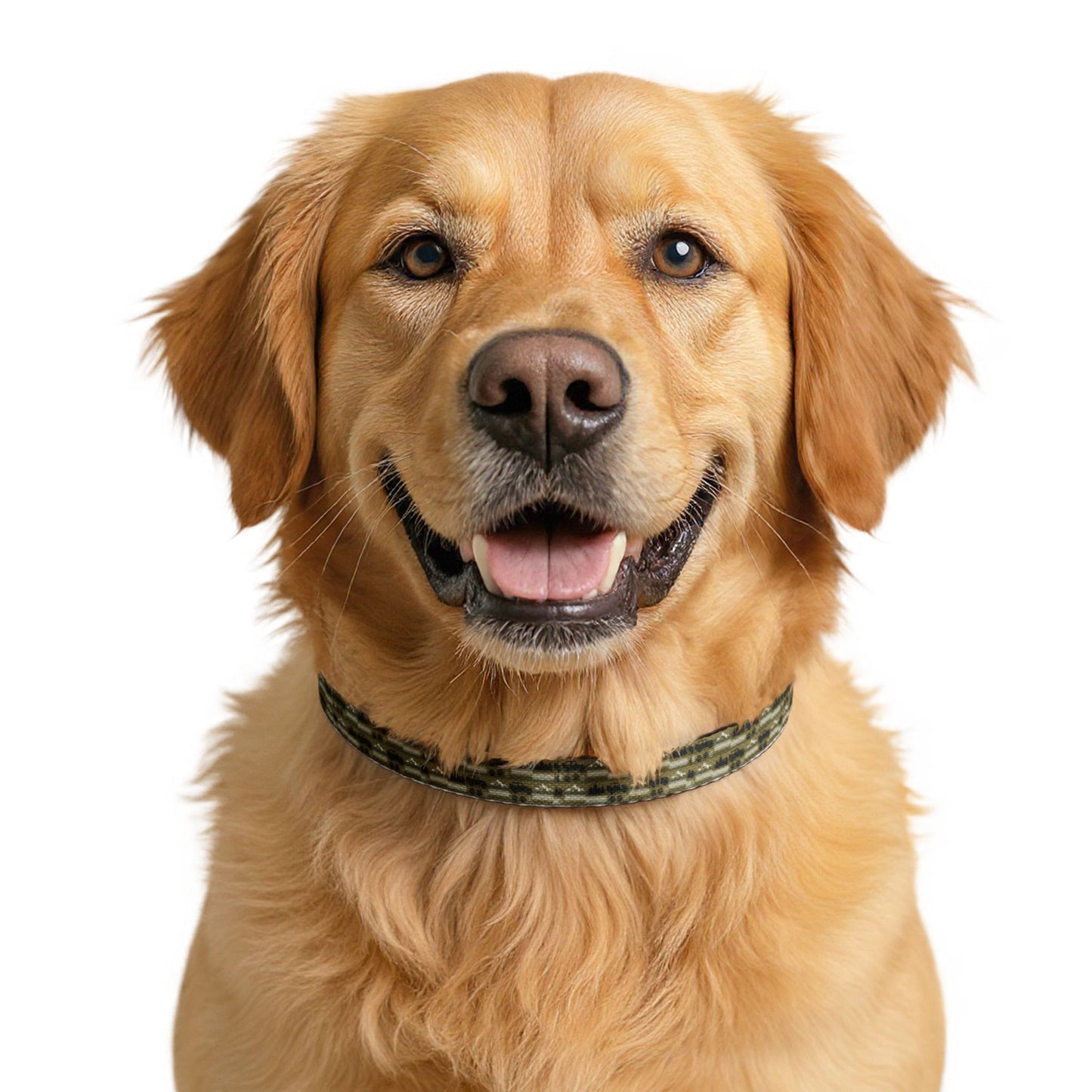Clip-On Pet Collar — Adjustable Dog Collar